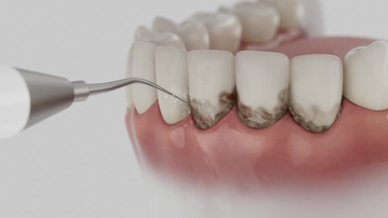 Reliable Dental contractor in Linn, MO by Dentist Open Now
